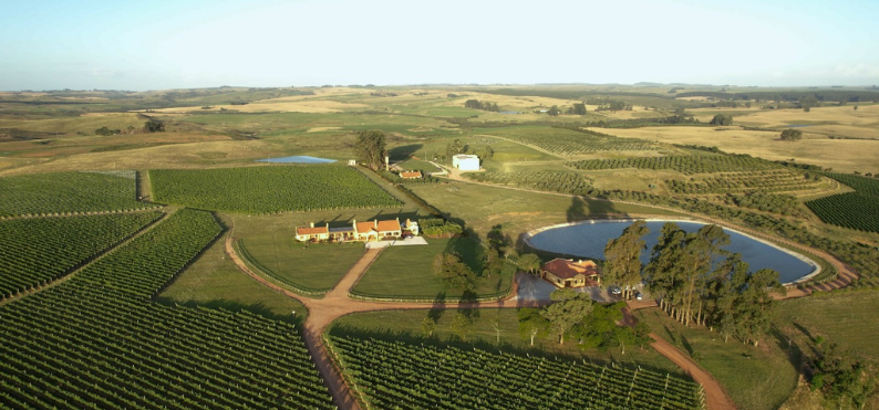 Vinícola de Galvão Bueno