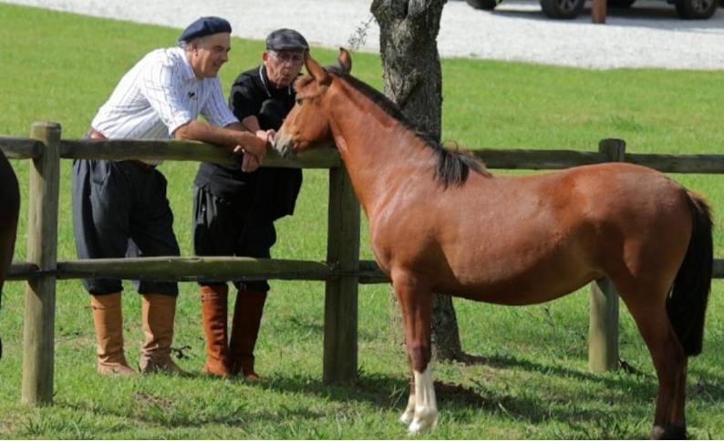 Nando Farinha e Galvão Bueno